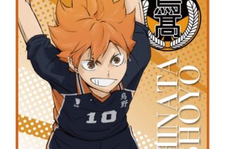 ハイキュー!! ハンドタオル 日向翔陽(繋ぐPROJECT柄)
 
2025年10月発売