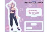 グリッドマンユニバース アクリルスタンドプレート08/新条アカネ スポーツウェアver.(描き下ろしイラスト)
 
2025年11月発売