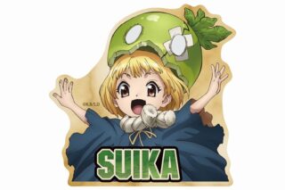Dr.STONE ダイカットステッカー スイカ【アニメイト限定】
 アニメイトで
2024/08/24 発売