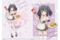 劇場版「Fate/kaleid liner プリズマ☆イリヤ Licht 名前の無い少女」 描き下ろしクリアファイル(美遊/バニーメイド)
 アニメイトで
2025年07月発売