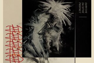 TV BANANA FISH ED「RED」/Survive Said The Prophet 通常盤 アニメイト
2018/12/12 発売
