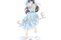 青春ブタ野郎はサンタクロースの夢を見ない アクリルスタンド 桜島麻衣/うさぬいだっこ
 
2025年11月発売
で取扱中