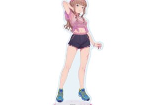 グリッドマンユニバース BIGアクリルスタンド03/南夢芽 スポーツウェアver.(描き下ろしイラスト)
 
2025年11月発売