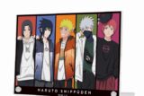 NARUTO-ナルト- arti-mate A5アクリルパネル 集合 描き下ろし 私服ver. アニメイトで
2025/03/18 発売