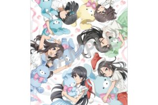 青春ブタ野郎はサンタクロースの夢を見ない A4シングルクリアファイル 集合/うさぬいだっこ
 
2025年11月発売
で取扱中