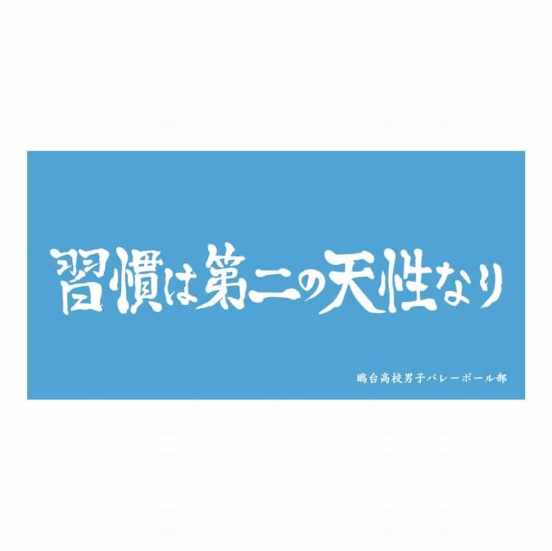 ハイキュー!! 横断幕ビッグタオル 鴎台高校【再販】
 
2025年07月上旬発売
で取扱中