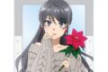 青春ブタ野郎はサンタクロースの夢を見ない 描き下ろし 桜島麻衣(冬) アクリルカード 
 
2025年11月22日発売
で取扱中