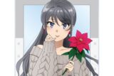 青春ブタ野郎はサンタクロースの夢を見ない 描き下ろし 桜島麻衣(冬) アクリルカード 
 
2025年11月22日発売
で取扱中