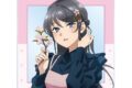 青春ブタ野郎はサンタクロースの夢を見ない 描き下ろし 桜島麻衣(春) アクリルカード 
 
2025年11月22日発売
で取扱中