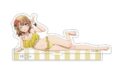 俺ガイル 完 【描き下ろし】アクリルスタンド 一色いろは(水着)
 
2025年11月発売
で取扱中
