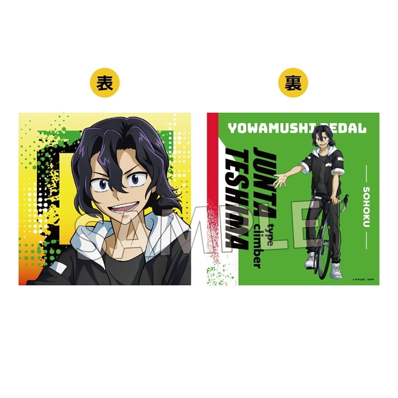 弱虫ペダル LIMIT BREAK ホテルコラボ第2弾 クッションカバー(手嶋純太)
 アニメイトで
2025年10月発売