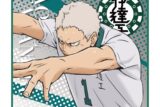 ハイキュー!! ハンドタオル 青根高伸(繋ぐPROJECT柄)
 
2025年10月発売