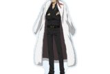 家庭教師ヒットマンREBORN! 描き下ろし XANXUS(10年後) 毛皮コート×スーツver. BIGアクリルスタンド
 アニメイトで
2025/12/17 発売