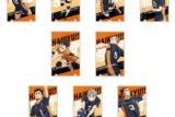 劇場版ハイキュー!! ゴミ捨て場の決戦 アートパネルコレクションVol.2 烏野高校BOX
 アニメイトで
2024年08月発売