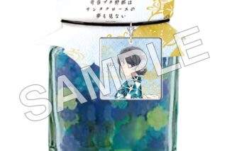 青春ブタ野郎はサンタクロースの夢を見ない アクリルチャーム付金平糖【京まふ2025事後販売】
 
2025年12月中旬発売
で取扱中