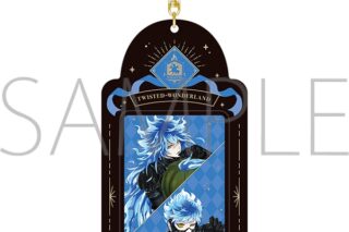 ツイステ カードホルダー&カードセット/Halloween ver.2025　イグニハイド寮 アニメイトで
2025/10/25 発売