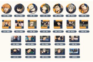 劇場版ハイキュー!! ゴミ捨て場の決戦 あれこれぷちCANバッジ Vol.4 烏野高校BOX 【1BOX】 キャラアニで
                                                2025年10月発売