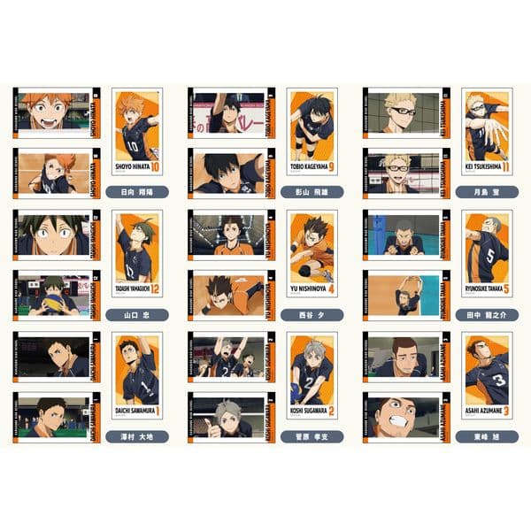 劇場版ハイキュー!! ゴミ捨て場の決戦 メモリーカットステッカー Vol.3 烏野高校BOX 【1BOX】 キャラアニで
                                                2025年10月発売