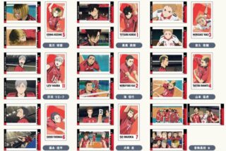 劇場版ハイキュー!! ゴミ捨て場の決戦 メモリーカットステッカー Vol.4 音駒高校BOX 【1BOX】 キャラアニで
                                                2025年10月発売