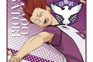ハイキュー!! 繋ぐPROJECT柄 ハンドタオル 天童覚 キャラアニで
                                                2025年11月発売