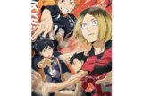 アニメ「ハイキュー!!」 プレミアムフォイルジグソーパズル1000ピース1000T-535
 エンスカイで2025年6月上旬
発売