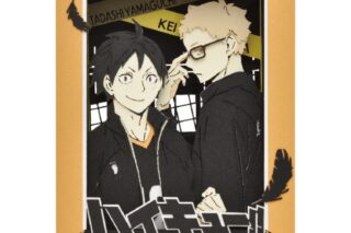 アニメ「ハイキュー!!」 PAPER THEATER(ペーパーシアター) / 月島蛍・山口忠 PT-267X
 エンスカイで2024年8月中旬
発売