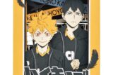 アニメ「ハイキュー!!」 PAPER THEATER(ペーパーシアター) / 日向翔陽・影山飛雄 PT-171X
 エンスカイで2024年8月中旬
発売