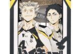 アニメ「ハイキュー!!」 PAPER THEATER(ペーパーシアター) / 木兎光太郎・赤葦京治 PT-174X
 エンスカイで2024年8月中旬
発売