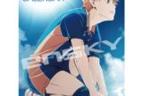 アニメ「ハイキュー!!」 2026年 壁掛けカレンダー CL-023 ※2025年11月
 エンスカイで2025年11月
発売