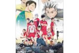 アニメ「ハイキュー!!」 ジグソーパズル まめパズル 金キラッ 150ピースMA-111
 エンスカイで2025年4月下旬
発売