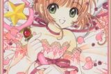 カードキャプターさくら 第12巻
 
2000/7月26日発売
で取扱中