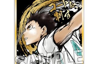 ハイキュー!! 激闘!!煌めき色紙 岩泉一【再販】
 アニメイトで
2024年07月下旬発売