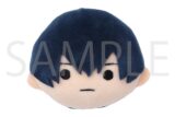 忘却バッテリー ぬいフェイスバッジ/清峰葉流火
 
2025年5月16日発売