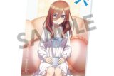 五等分の花嫁* 描き下ろしビジュアルアクリルプレート 中野三玖 ナイトウェア ver.
 
2025年11月発売
で取扱中 (アニメイト)