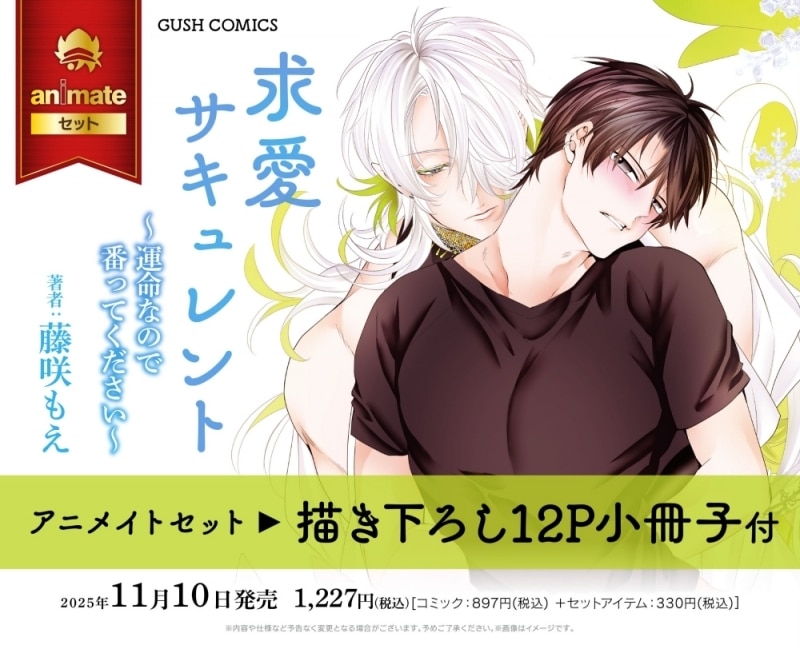 [BL漫画] 求愛サキュレント～運命なので番ってください～ アニメイトセット【描き下ろし12P小冊子付き】
 
2025年11月10日発売
で取扱中