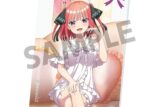 五等分の花嫁* 描き下ろしビジュアルアクリルプレート 中野二乃 ナイトウェア ver.
 
2025年11月発売
で取扱中 (アニメイト)