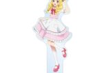 アイカツ! 10th STORY ～未来へのSTARWAY～ 描き下ろし 星宮いちご カントリーワンピースver. BIGアクリルスタンド
 アニメイトで
2025/11/08 発売