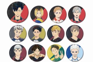 ハイキュー!! トレーディング Ani-Art 第6弾 マット缶バッジ【再販】
 アニメイトで
2024年09月発売