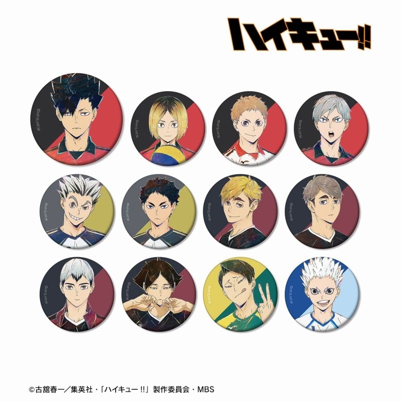 ハイキュー!! トレーディング Ani-Art 第6弾 マット缶バッジ【再販】
 アニメイトで
2024年09月発売