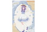 アイカツ! 10th STORY ～未来へのSTARWAY～ 描き下ろし 氷上スミレ カントリーワンピースver. B2タペストリー
 アニメイトで
2025/11/08 発売