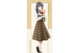 青春ブタ野郎はサンタクロースの夢を見ない 描き下ろし 桜島麻衣(秋) 等身大タペストリー 
 
2025年11月22日発売
で取扱中