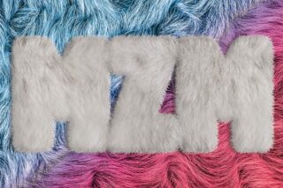 MonsterZ MATE/MZM 初回限定盤
 アニメイトで
2019/05/08 発売