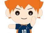 ハイキュー!! たすっこ ぬいぐるみ 日向翔陽
 アニメイトで
2024年8月20日発売