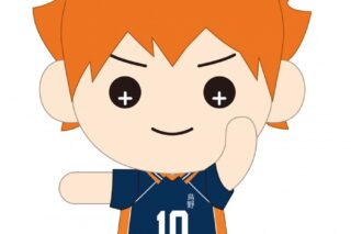 ハイキュー!! たすっこ ぬいぐるみ 日向翔陽
 アニメイトで
2024年8月20日発売