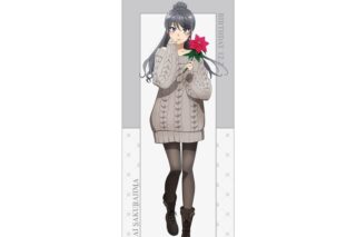 青春ブタ野郎はサンタクロースの夢を見ない 描き下ろし 桜島麻衣(冬) 等身大タペストリー 
 
2025年11月22日発売
で取扱中