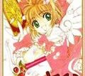 カードキャプターさくら 第1巻
 
1996/11月20日発売
で取扱中