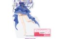 TVアニメSummer Pockets アクリルスタンド<2.空門蒼>
 アニメイトで
2025年11月発売