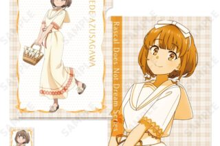 青春ブタ野郎シリーズ クリアファイル&ステッカーセット 2.梓川花楓[セーラーワンピース]
 
2025年12月中旬発売
で取扱中