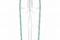 ハイキュー!! 高校ジャージ パンツ 青葉城西高校 XL【再販】
 
2025年07月上旬発売
で取扱中
