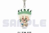 Dr.STONE アクリルキーホルダー 01.石神 千空
 アニメイトで
2025年08月上旬発売